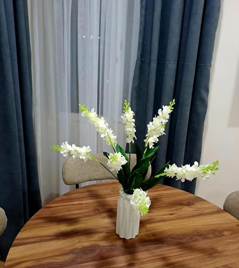 Apartment Giorgi Mazniasvhili Batumi Georgia