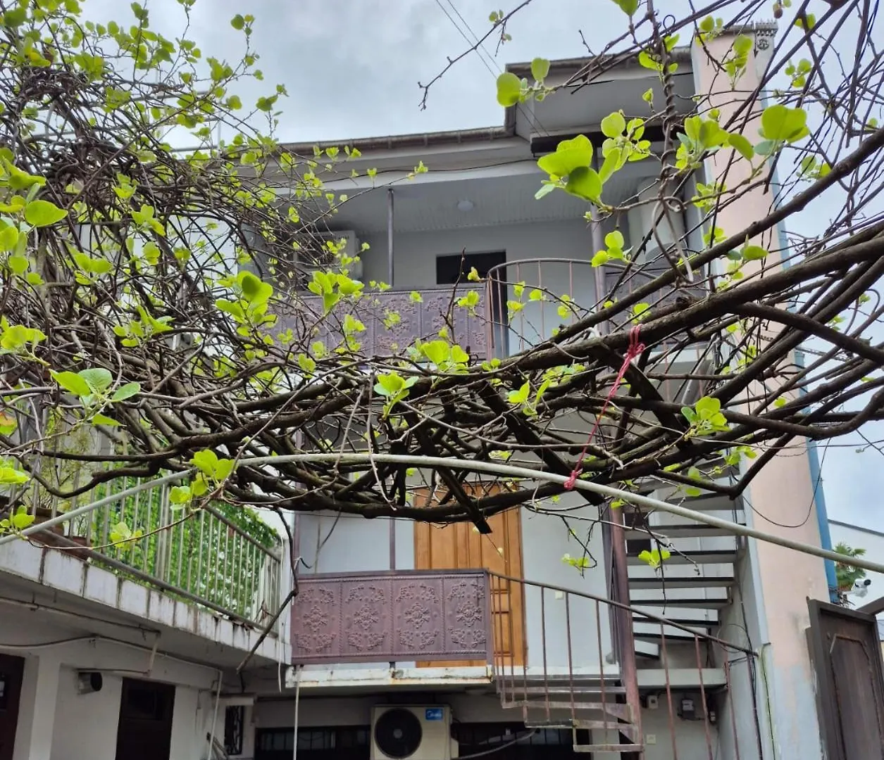 Apartment Giorgi Mazniasvhili Batumi Georgia
